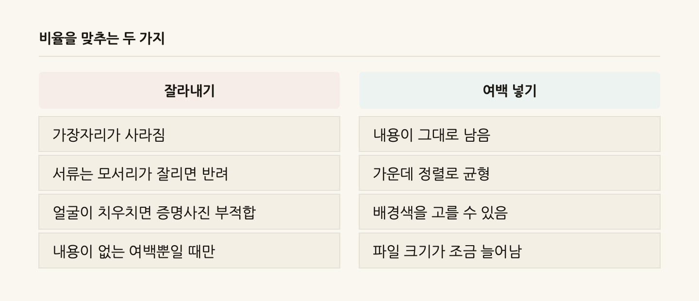 비율을 맞추는 두 가지